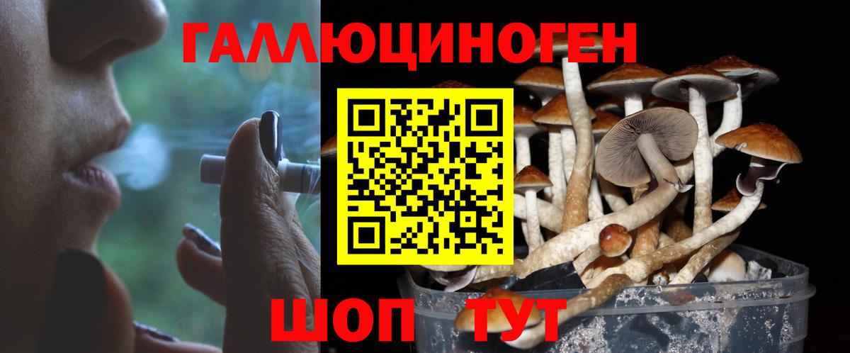 Бошки Шишки Березники